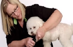 Say Goodbye to Stressful Nail Trimming: A Comprehensive Guide to Safely Using the Andis CNG-1 Nail Grinder on Your Dog