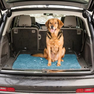 Say Goodbye to Dirty Paw Prints: Uncover the Magic of a Dirty Dog Door Mat & Hall Runner