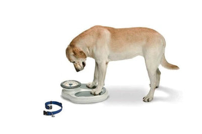 The Ultimate Guide to Choosing the Best Weight Loss Dog Food for Your Furry Friend