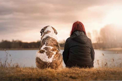 When Your Best Friend Passes Away: How to Navigate the Grieving Process After Losing a