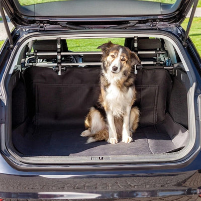 The Ultimate Guide to Moving House with Pets: Tips, Tricks, and Strategies
