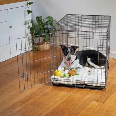 Yes, You Can! A Beginner's Guide to Crate Training an Older Dog