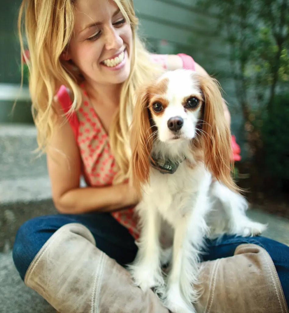 How Do Wireless Pet Containment Systems Work? We Know Pets