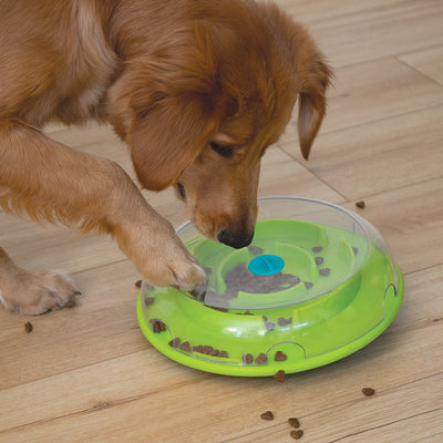 Why does my dog eat so fast?