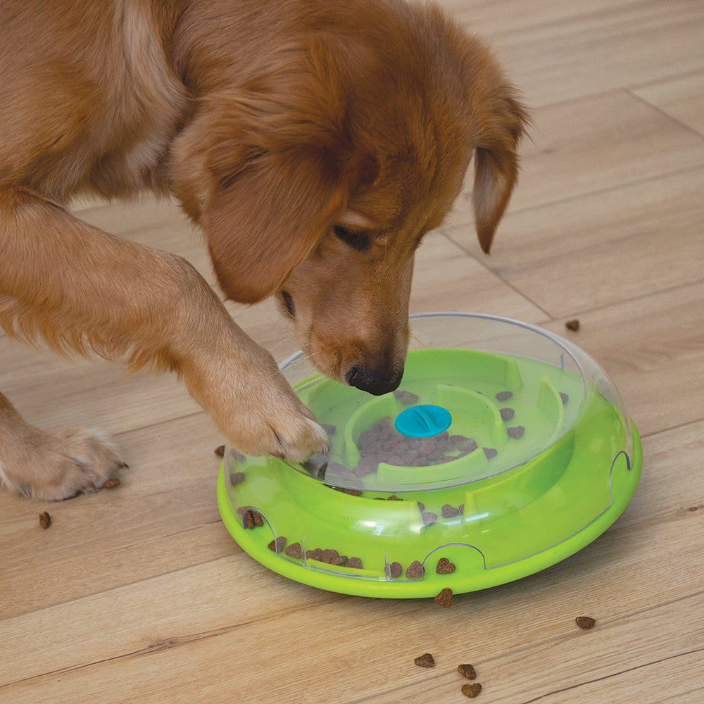 Why does my dog eat so fast? We Know Pets