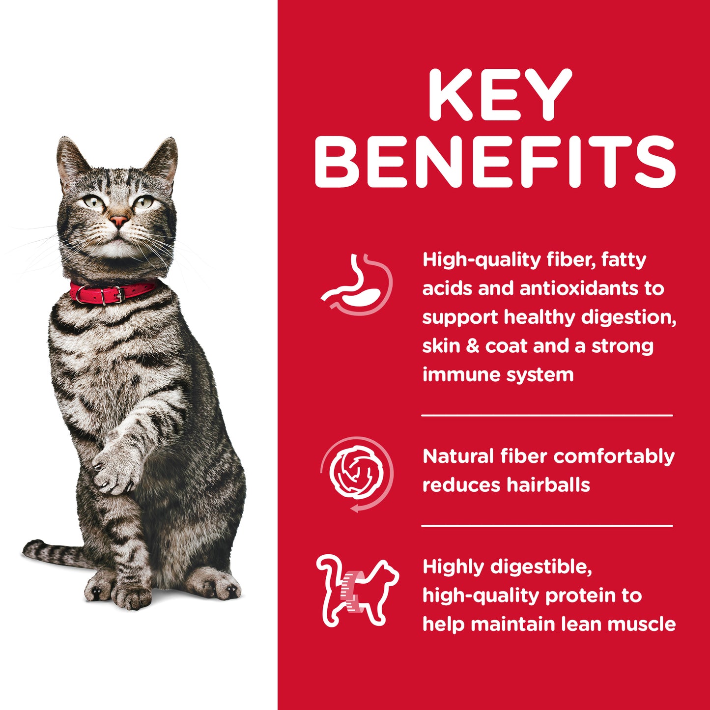 Science Diet Cat Urinary Hairball Control 3.17kg