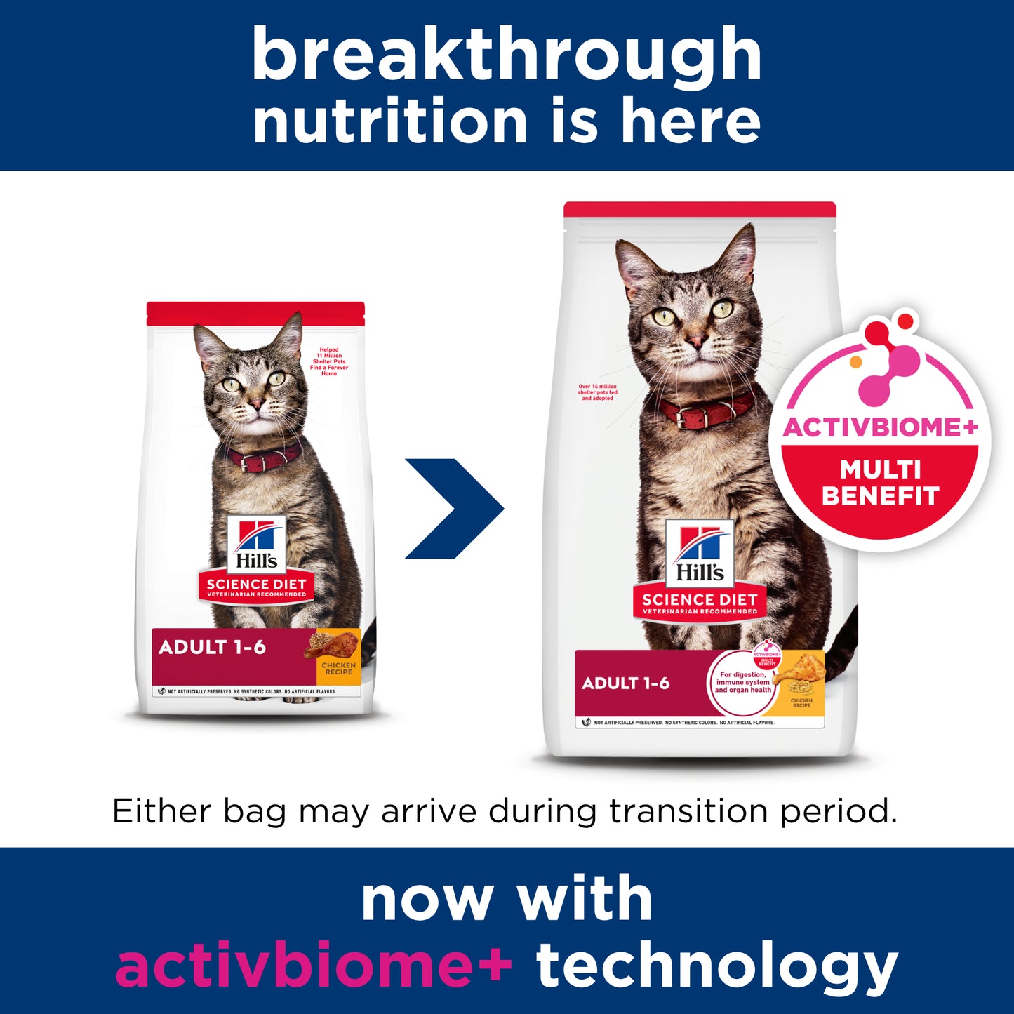 Science Diet Cat Adult 4kg