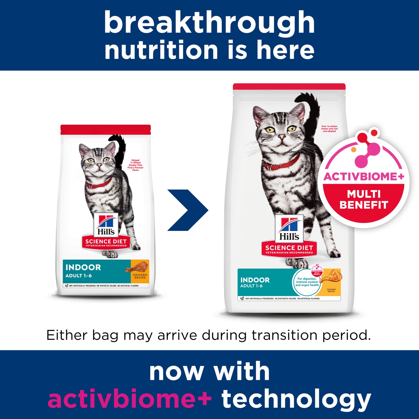Science Diet Cat Indoor 4kg