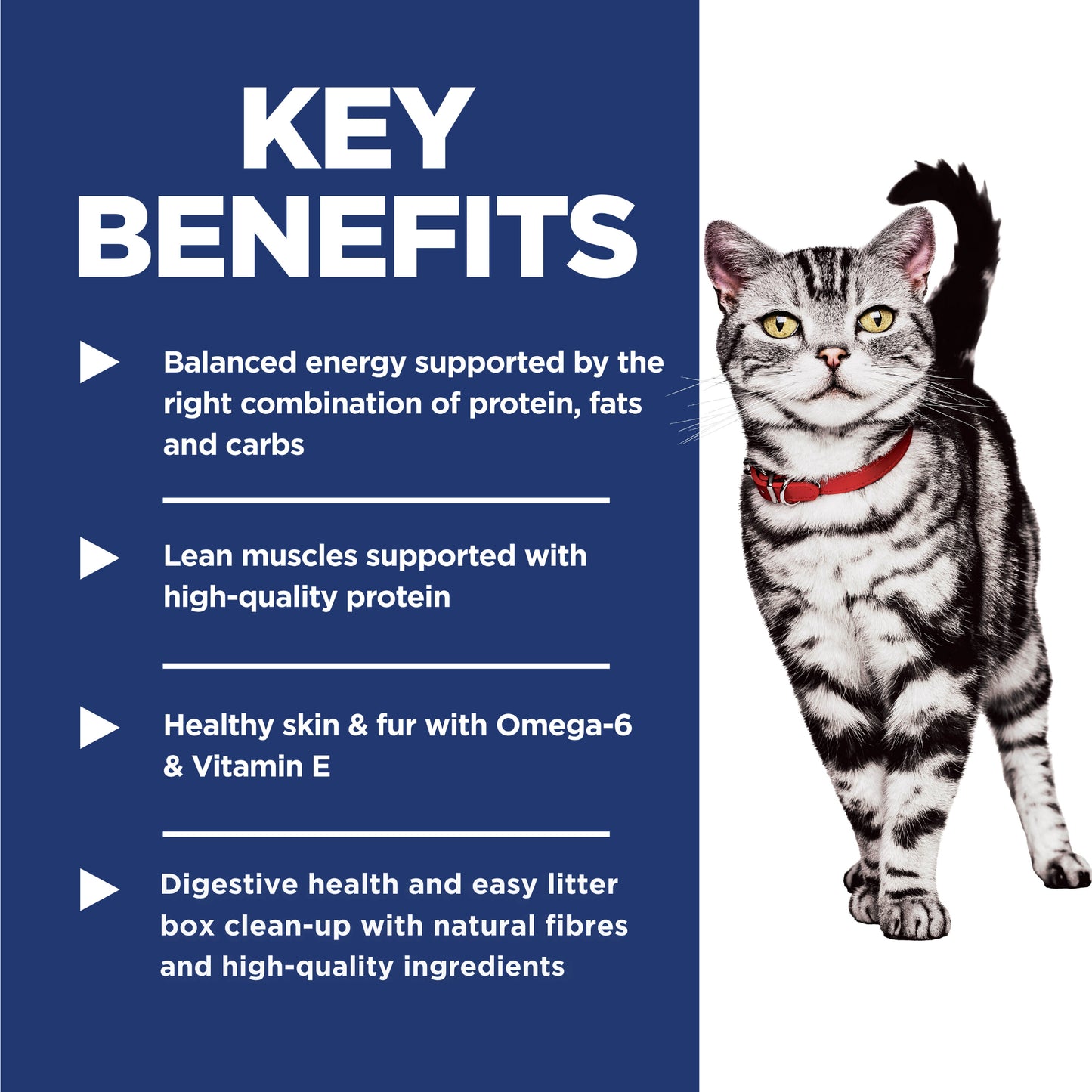 Science Diet Cat Indoor 4kg