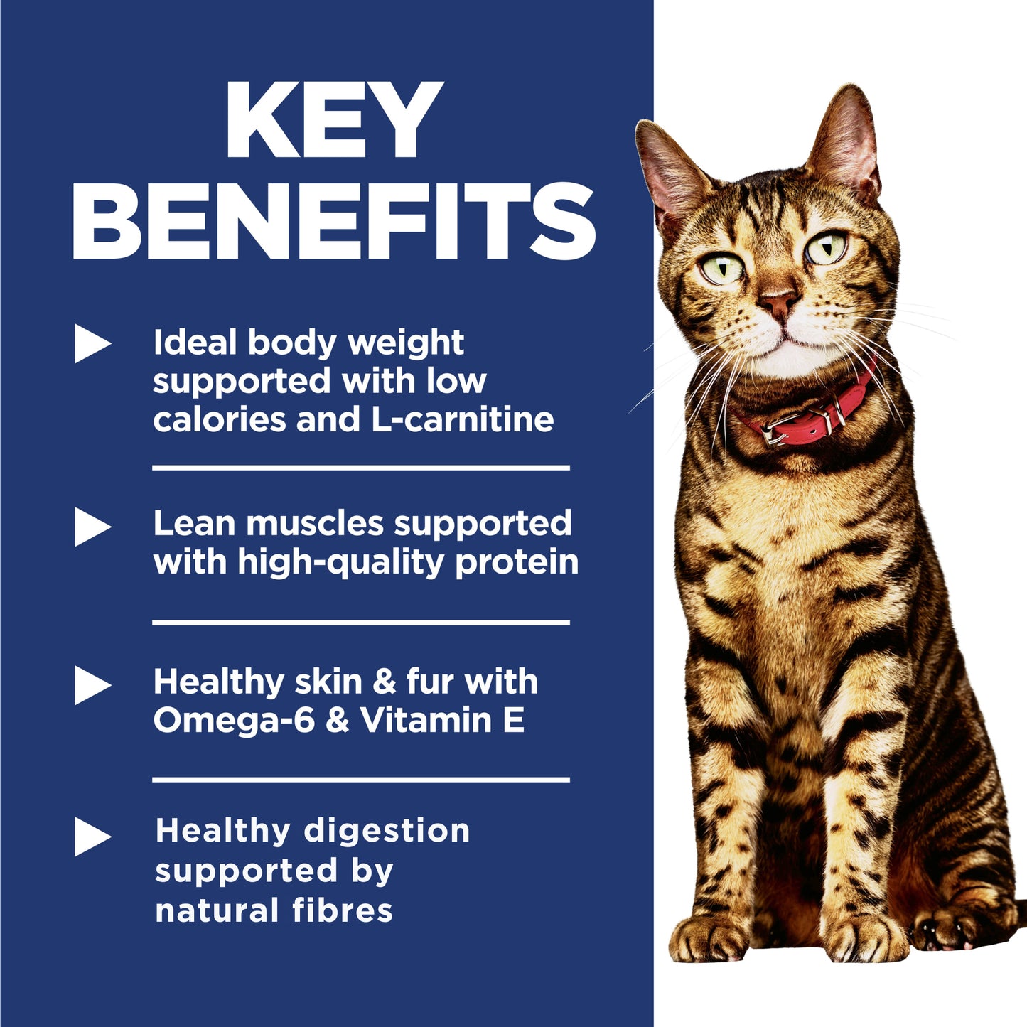 Science Diet Cat Light 3.5kg
