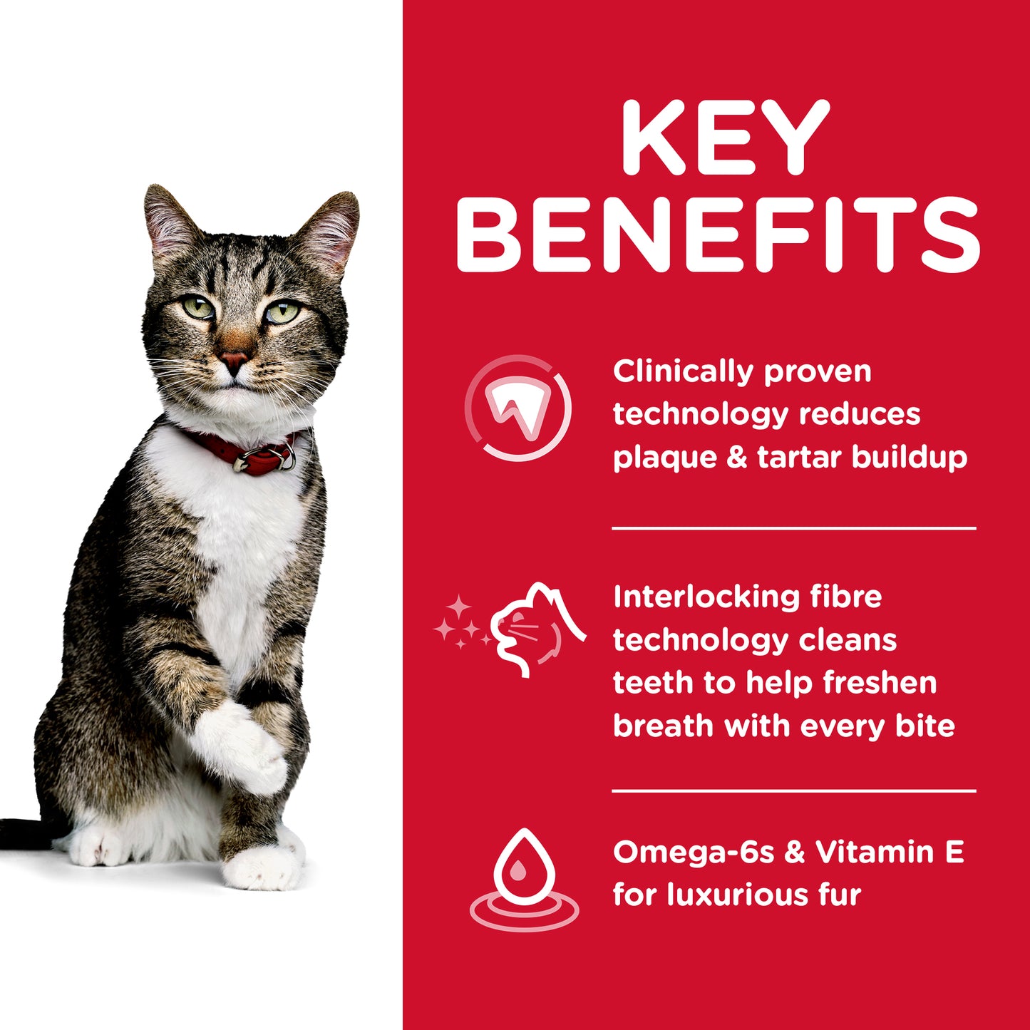 Science Diet Cat Oral Care 4kg