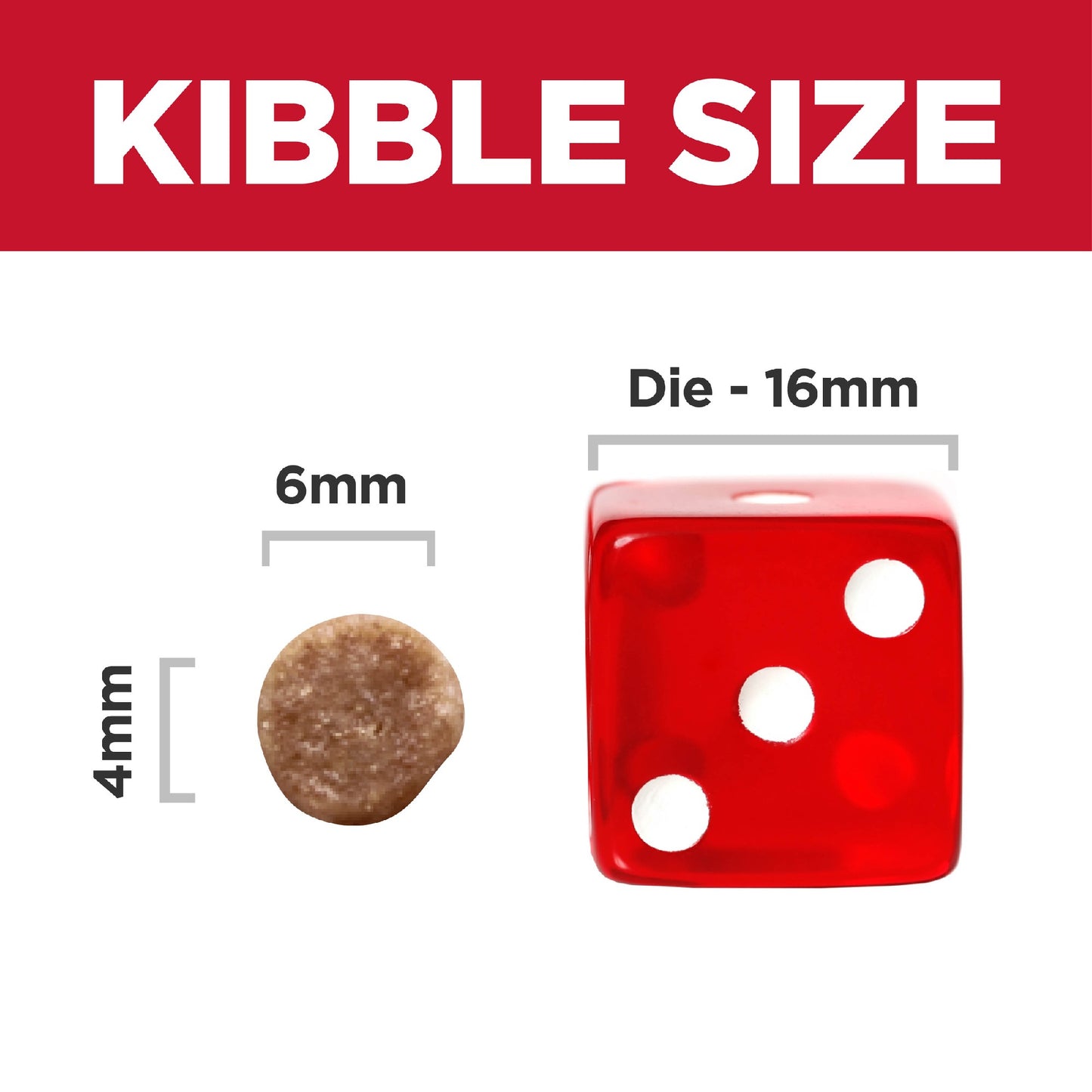 Science Diet Cat Kitten 4kg
