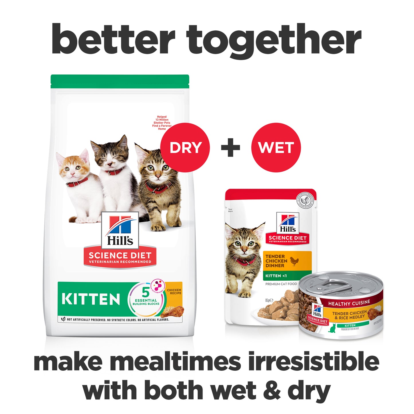 Science Diet Cat Kitten 4kg