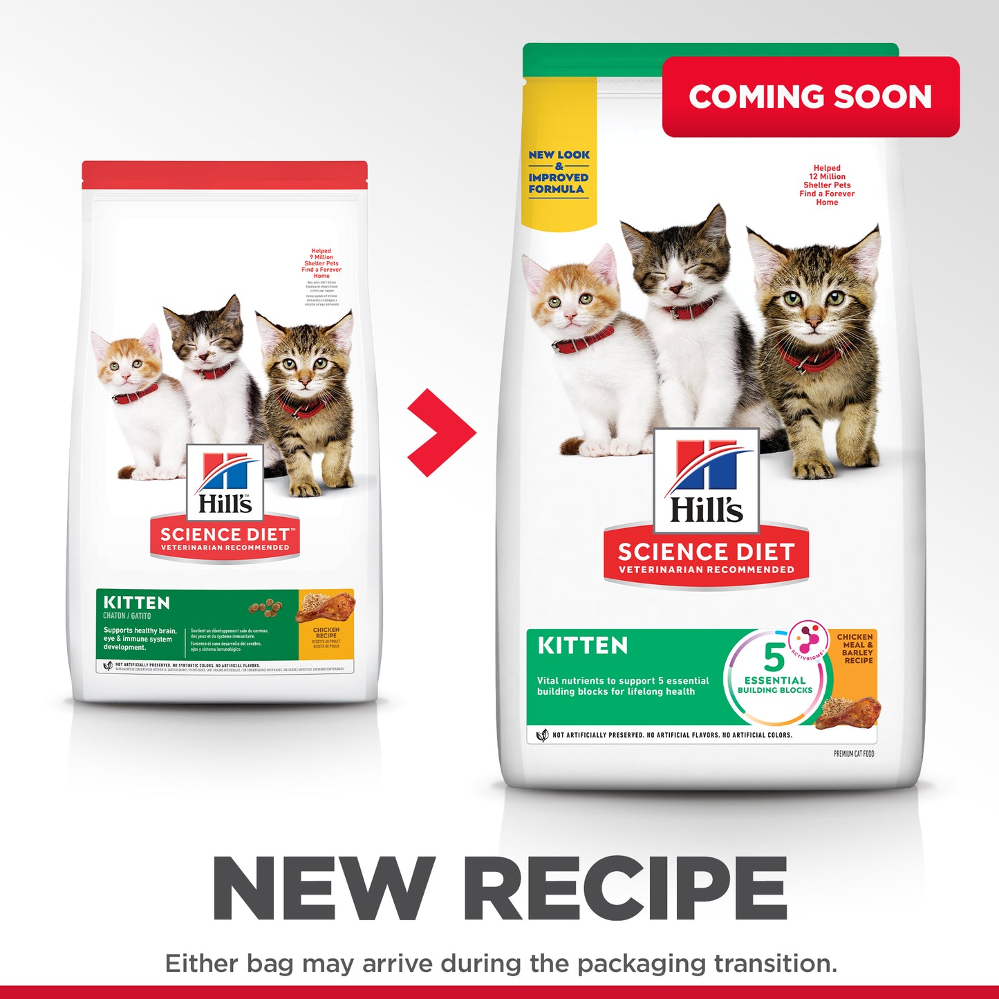 Science Diet Cat Kitten 4kg