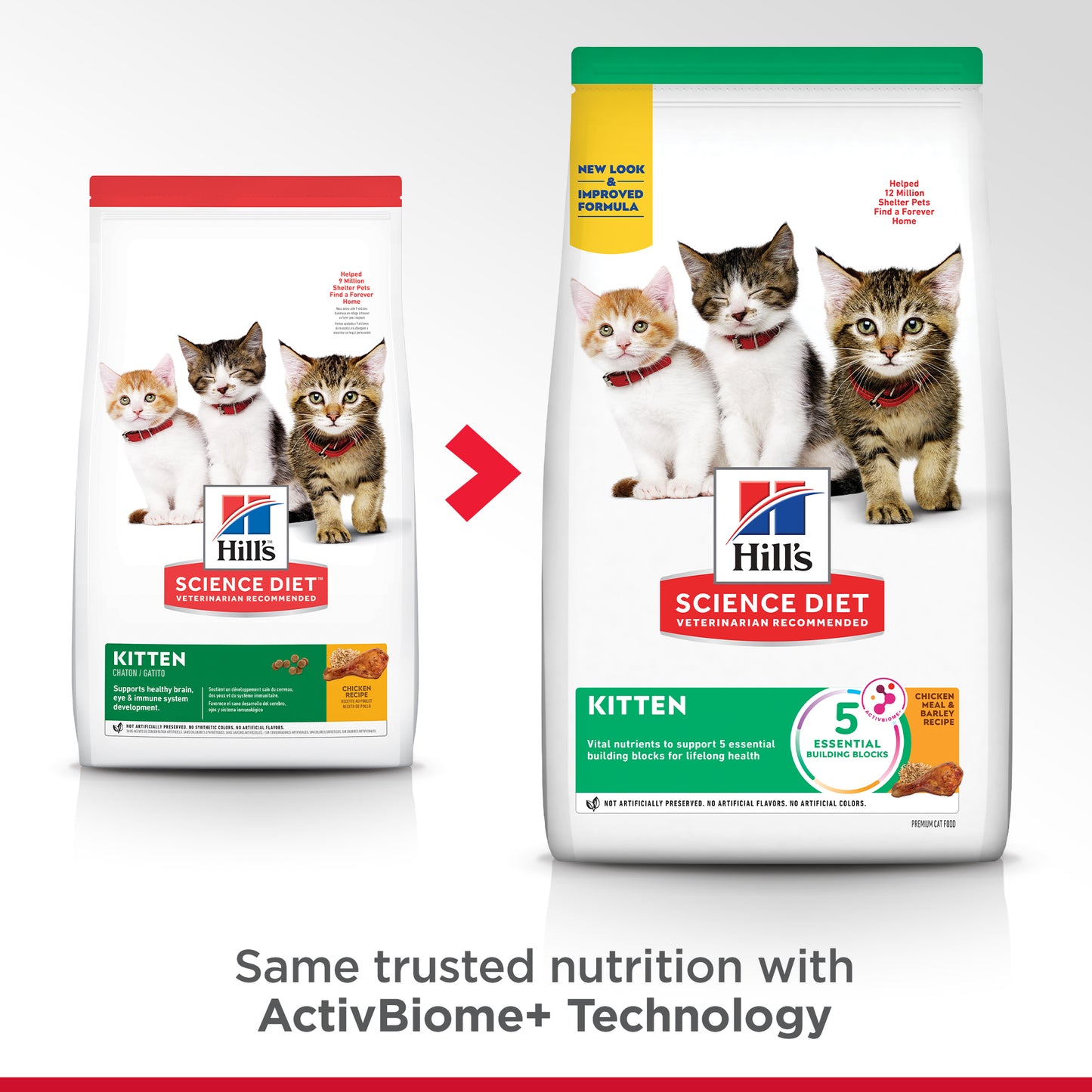 Science Diet Cat Kitten 4kg