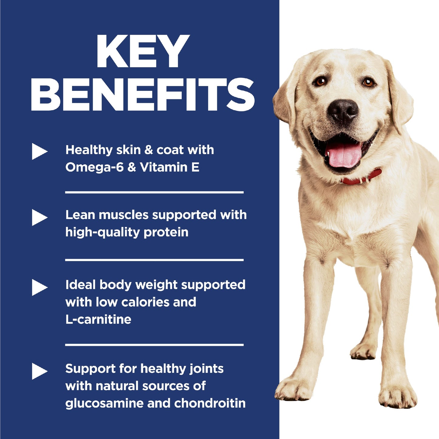 Science Diet Dog Light Large Breed 12kg