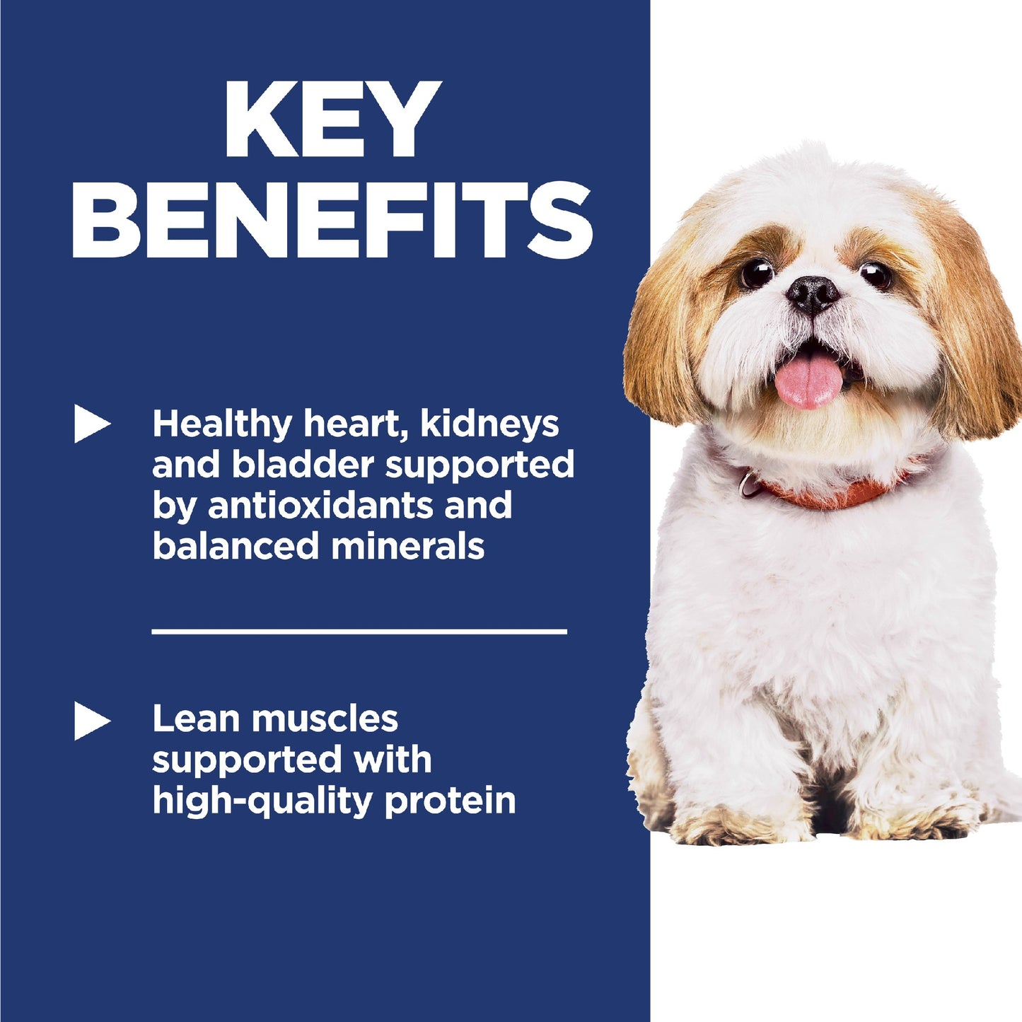 Science Diet Dog Adult 7+ Small Bites 2kg