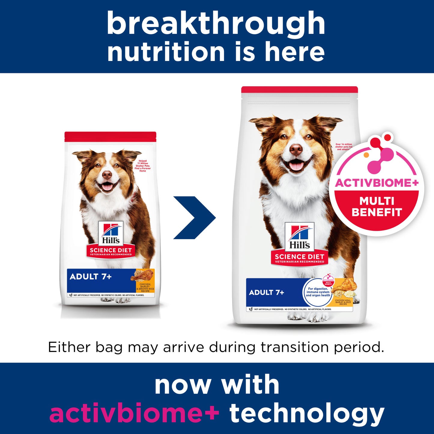 Science Diet Dog Mature 12kg