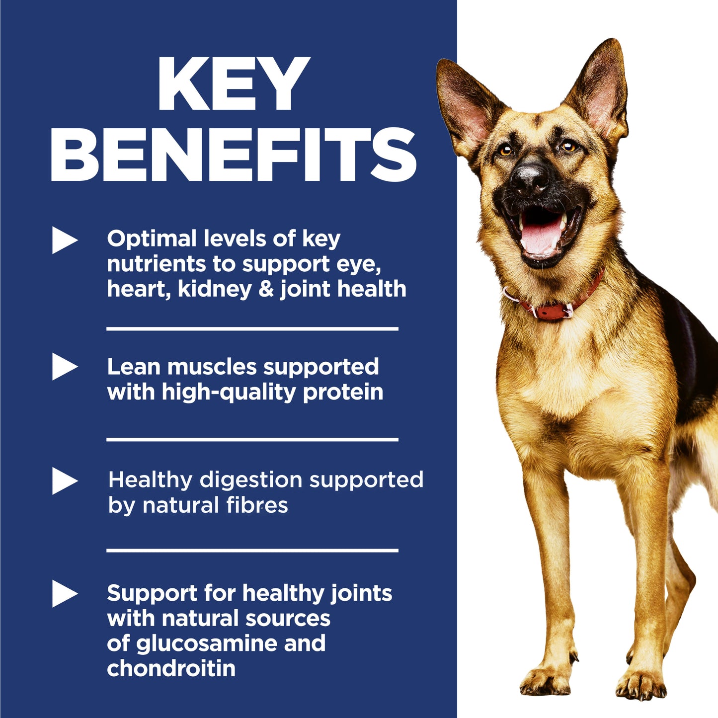 Science Diet Dog Mature Large Breed 12kg