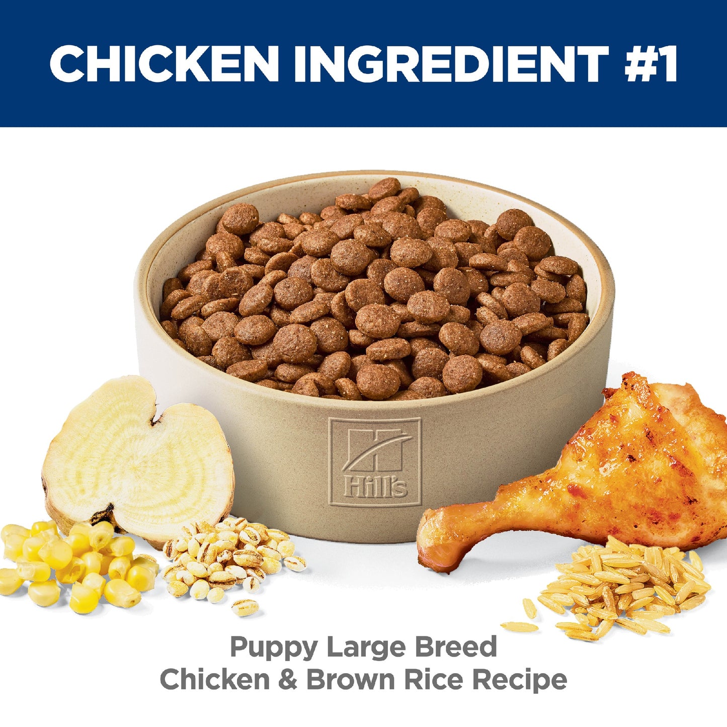 Science Diet Puppy Large Breed 12kg
