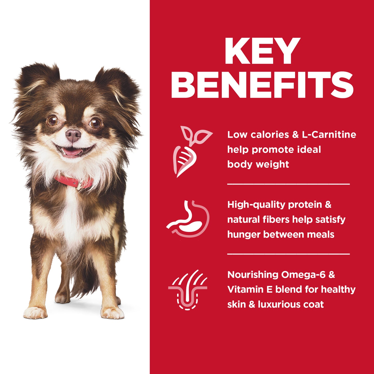 Science Diet Dog Sensitive Skin & Stomach Small & Mini Adult 1.81kg