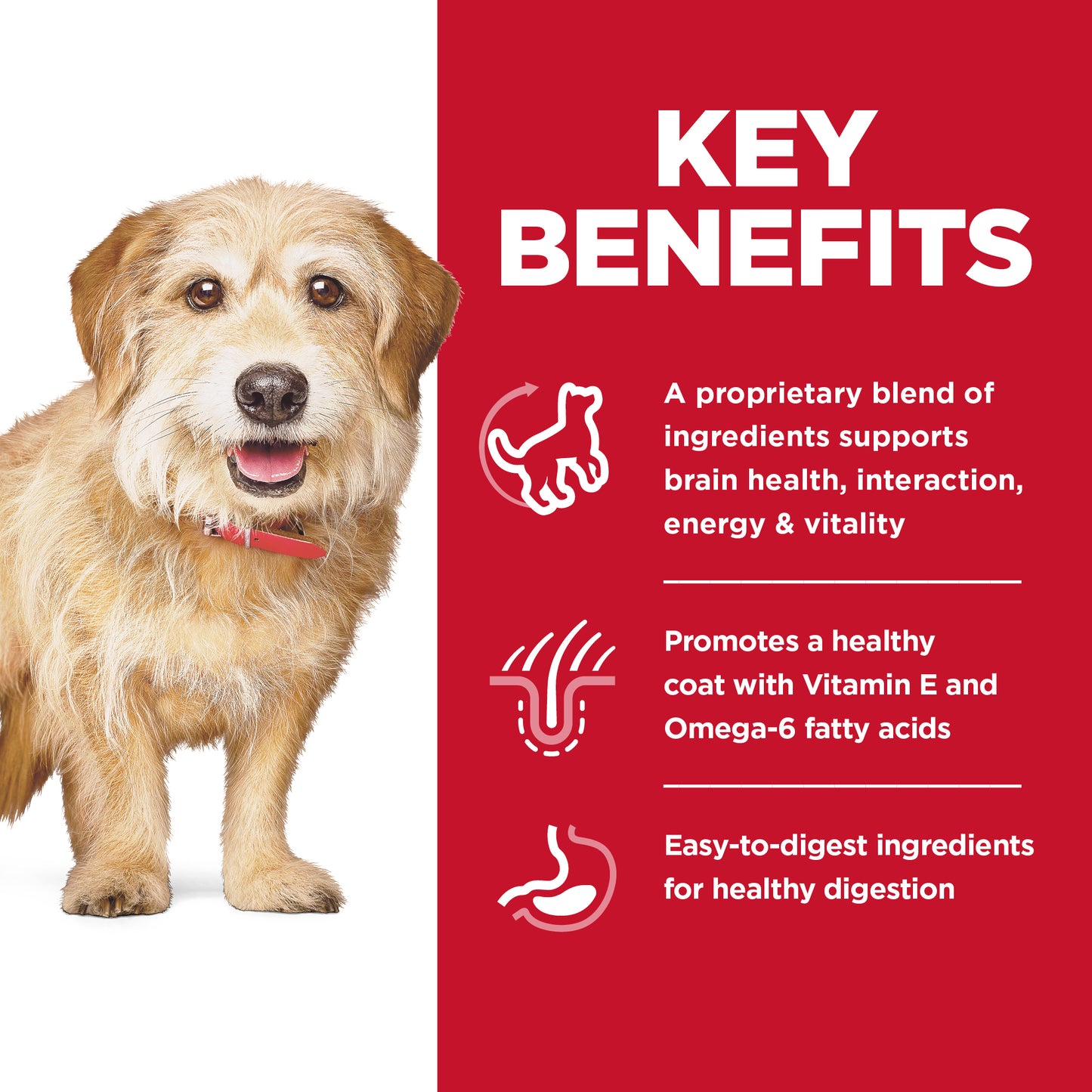 Science Diet Dog Senior Vitality Small & Mini 1.58kg