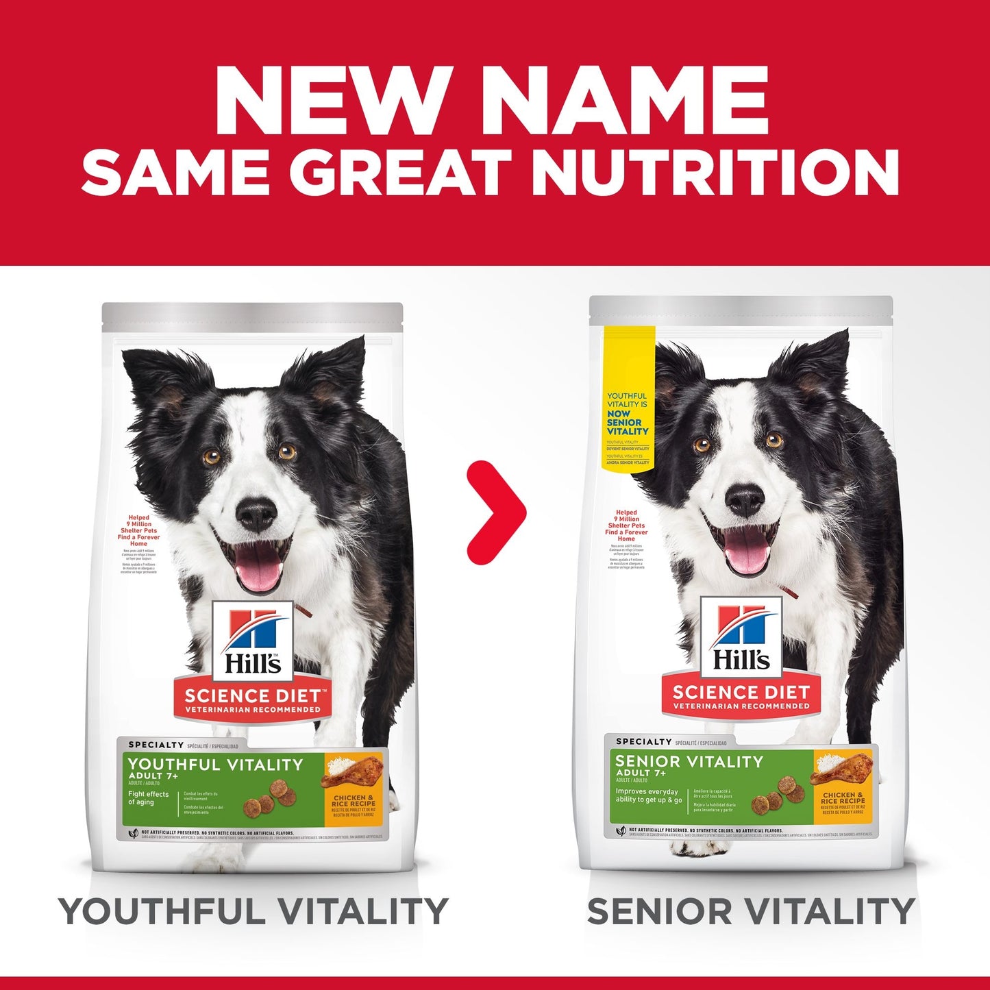 Science Diet Dog Senior Vitality 5.7kg