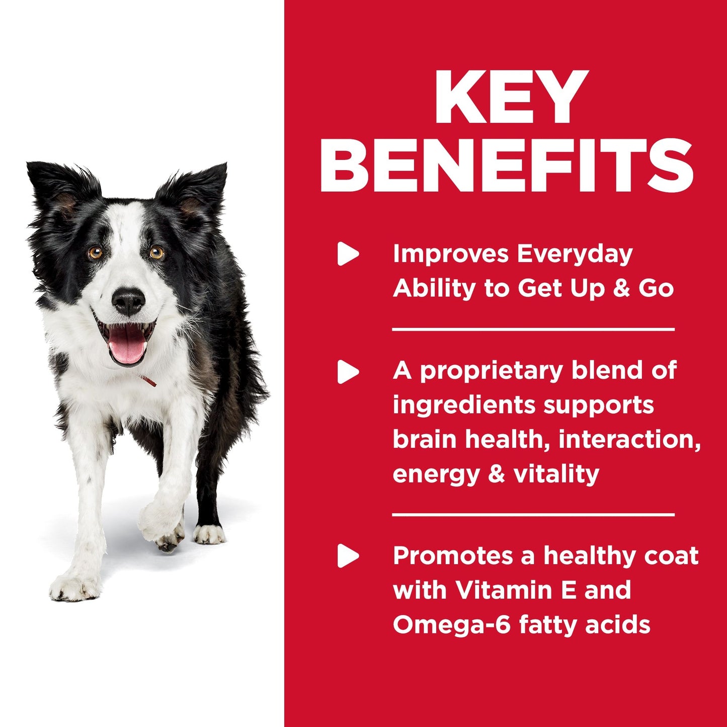 Science Diet Dog Senior Vitality 5.7kg
