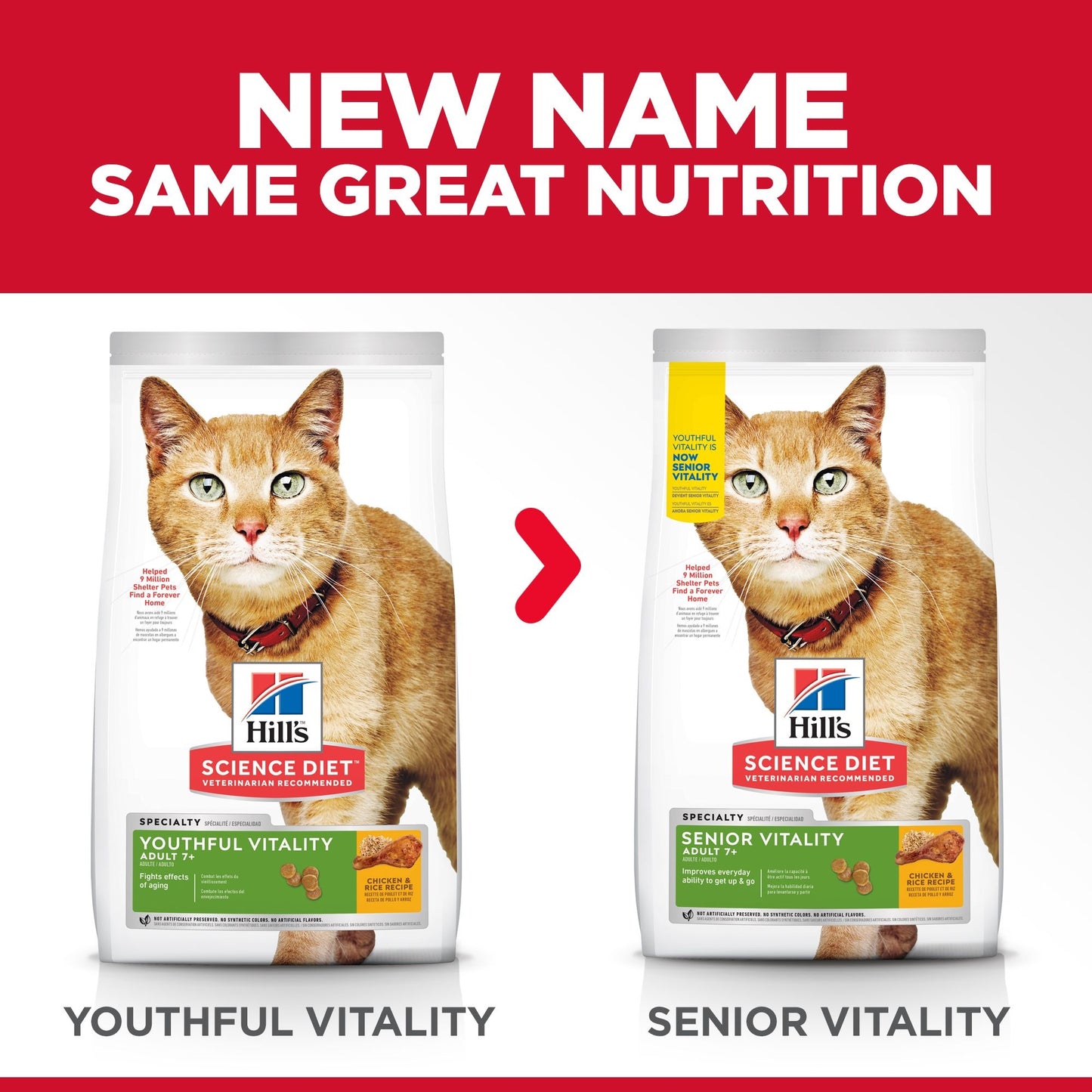 Science Diet Cat Adult 7+ Youthful Vitality 2.72kg