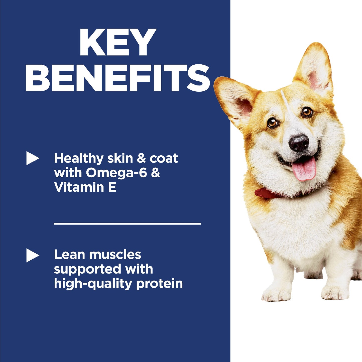 Science Diet Dog Adult Small Bites 6.8kg