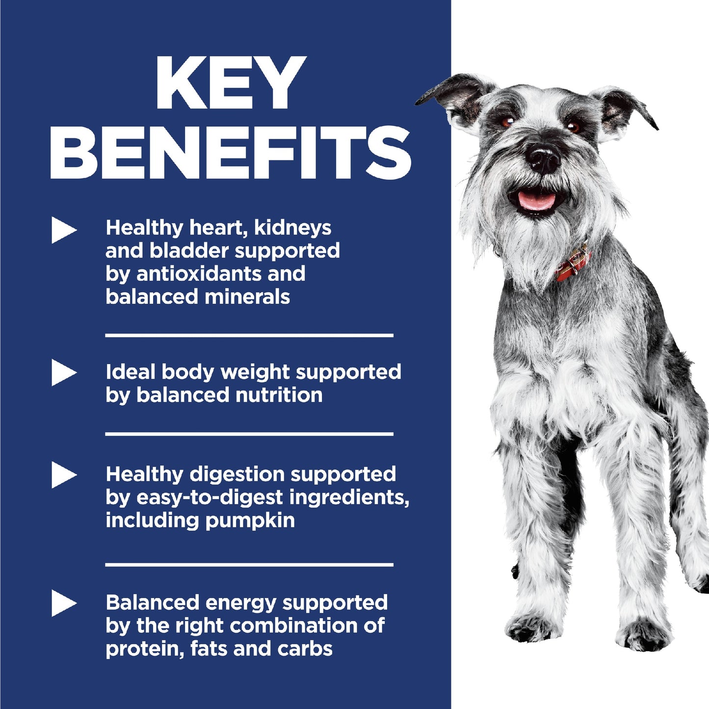 Science Diet Dog 7+ Small & Mini 1.5kg