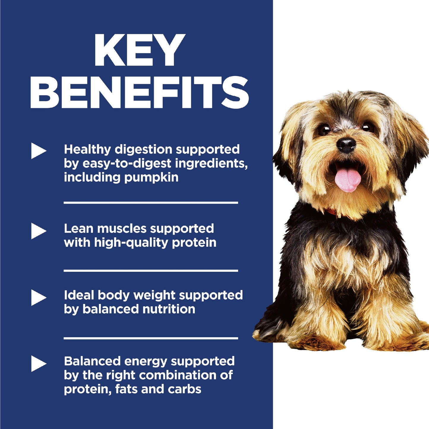 Science Diet Dog Adult Small & Mini 1.5kg
