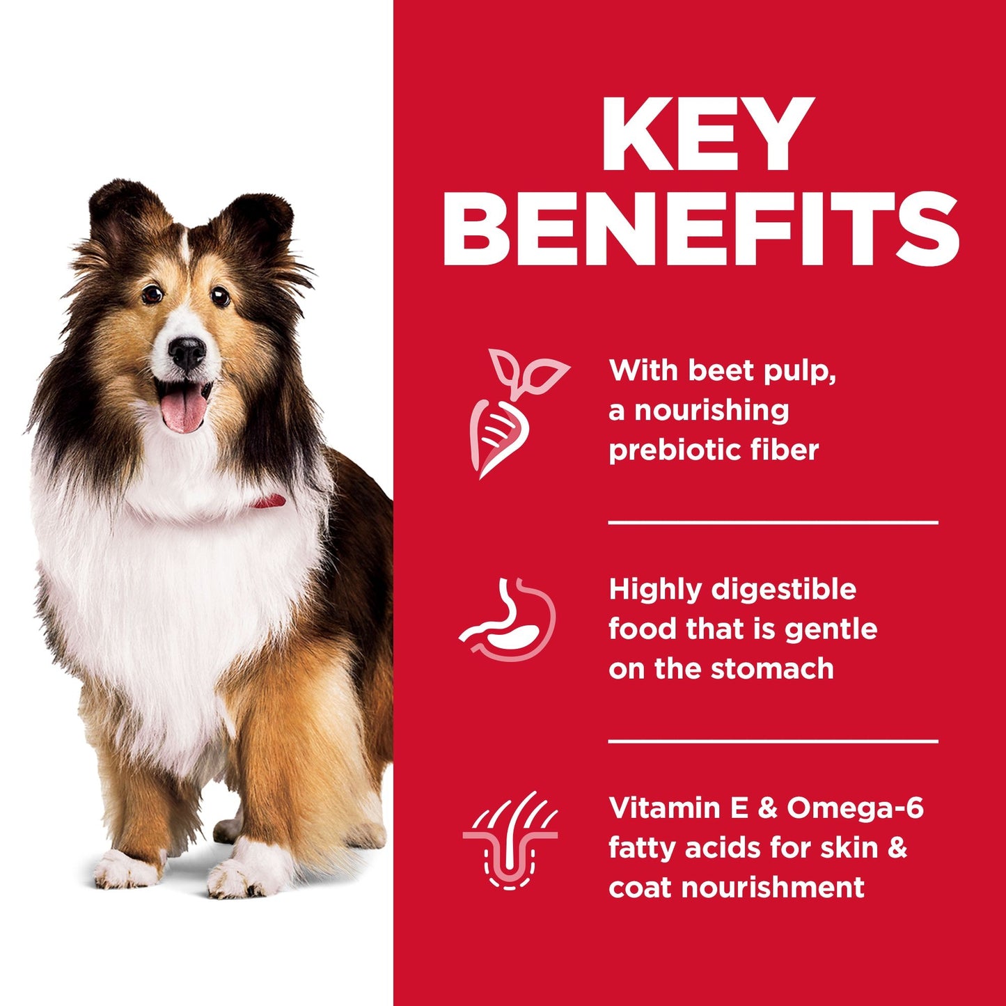 Science Diet Dog Sensitive Skin & Stomach 12KG