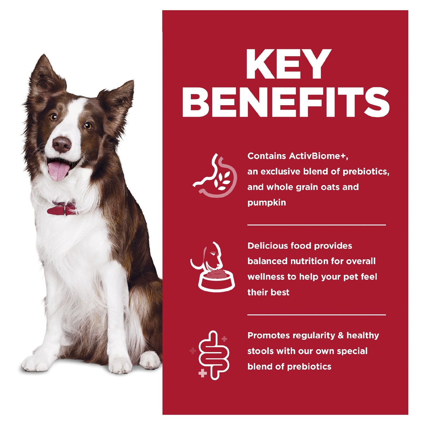 Science Diet Dog Perfect Digestion Adult 9.98kg