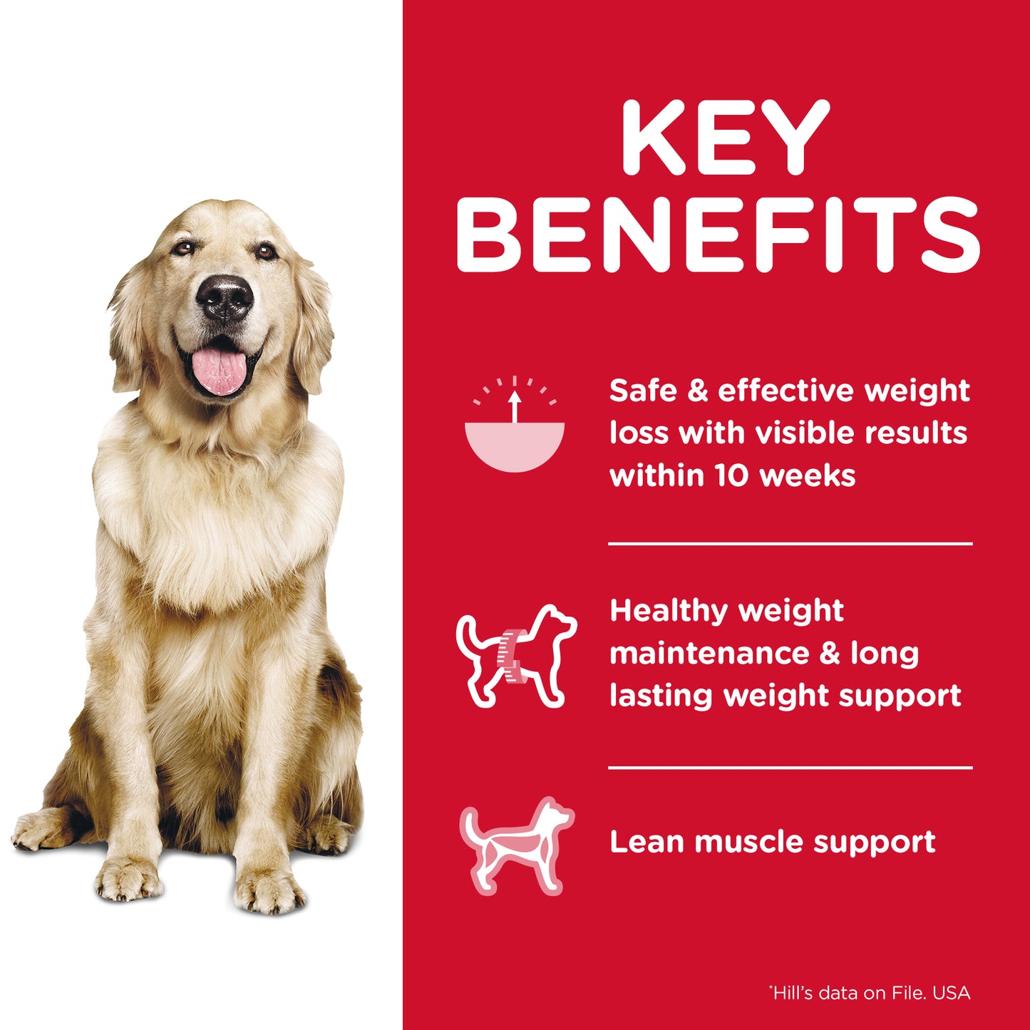 Science Diet Dog Perfect Weight 363g Can