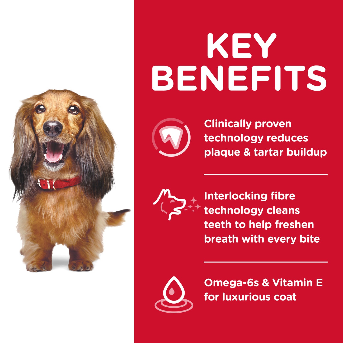 Science Diet Dog Oral Care 2kg