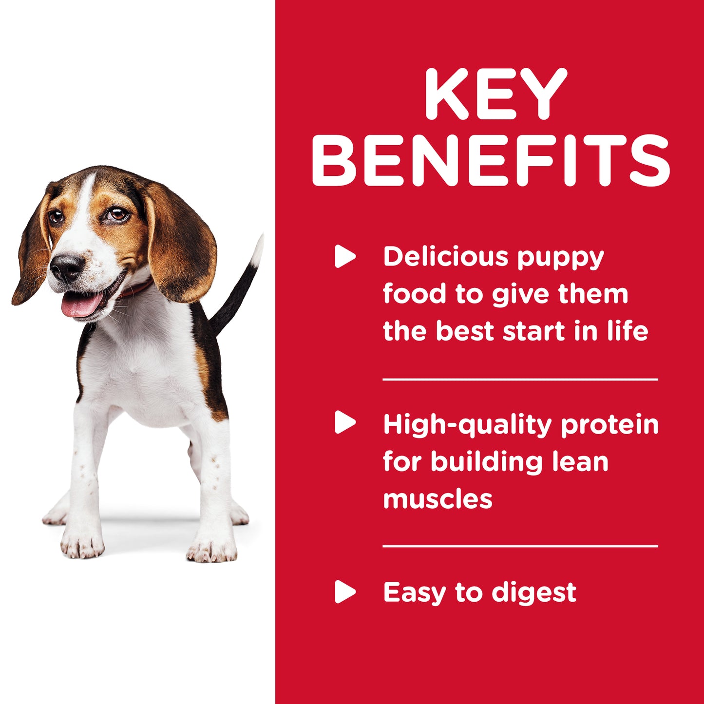 Science Diet Dog Puppy Savour Stew Chicken Can 363g