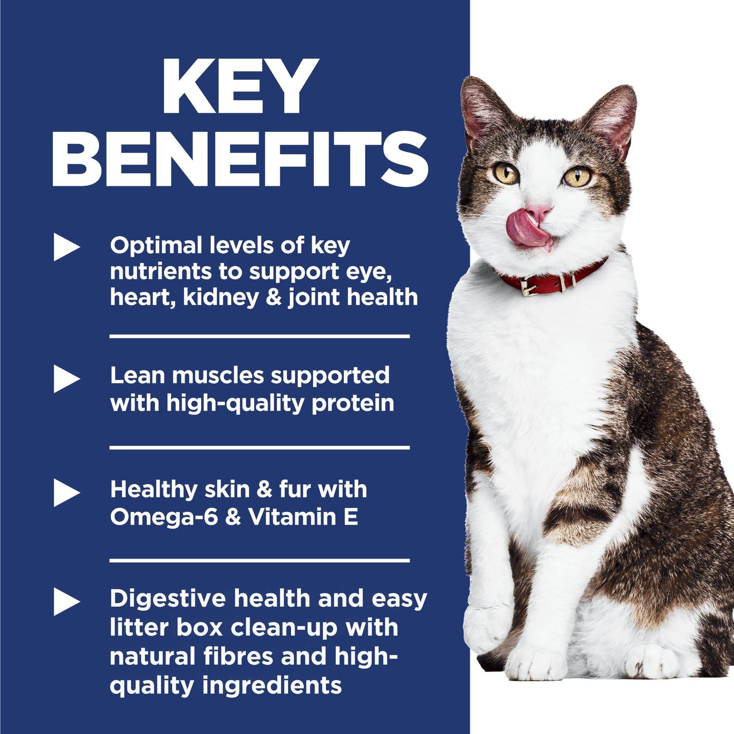 Science Diet Cat Indoor 11+ 3.17kg