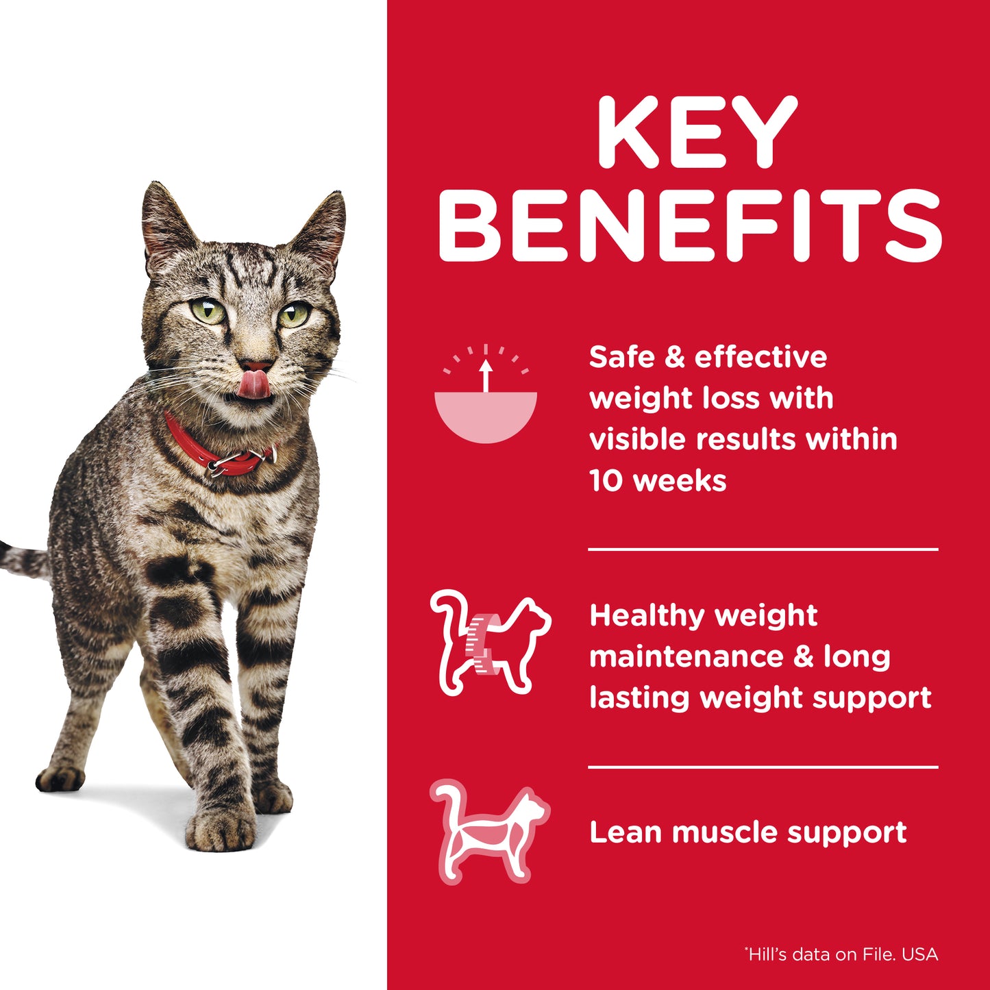 Science Diet Cat Perfect Weight 6.8kg