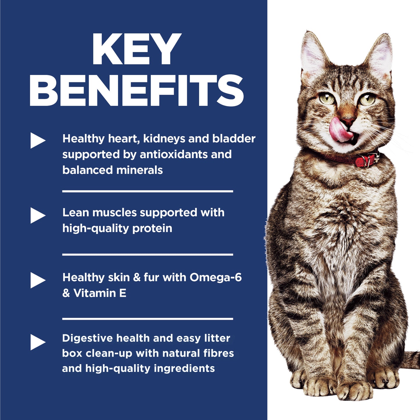 Science Diet Cat Indoor 7+ 1.58kg