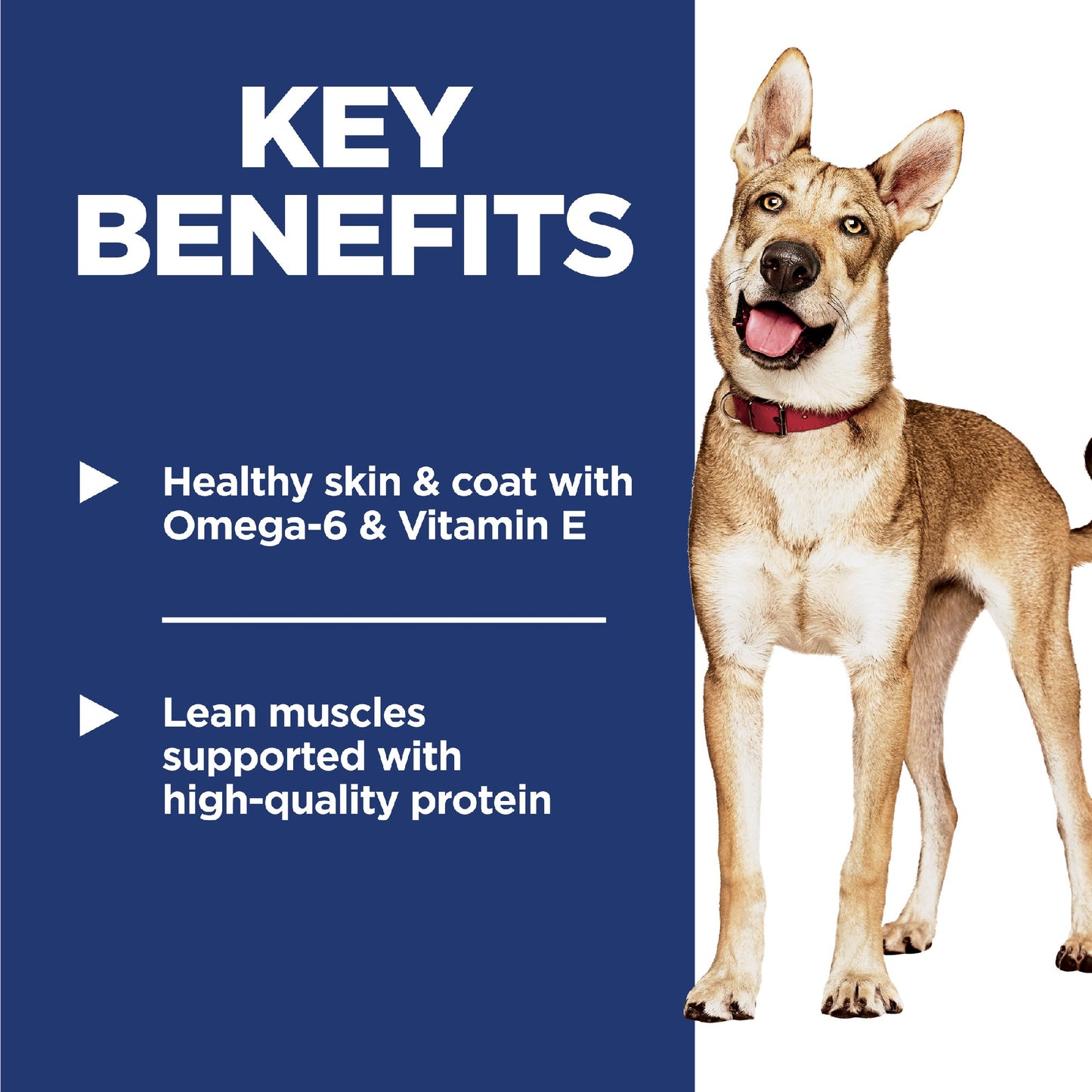 Science Diet Dog Adult 7.5kg