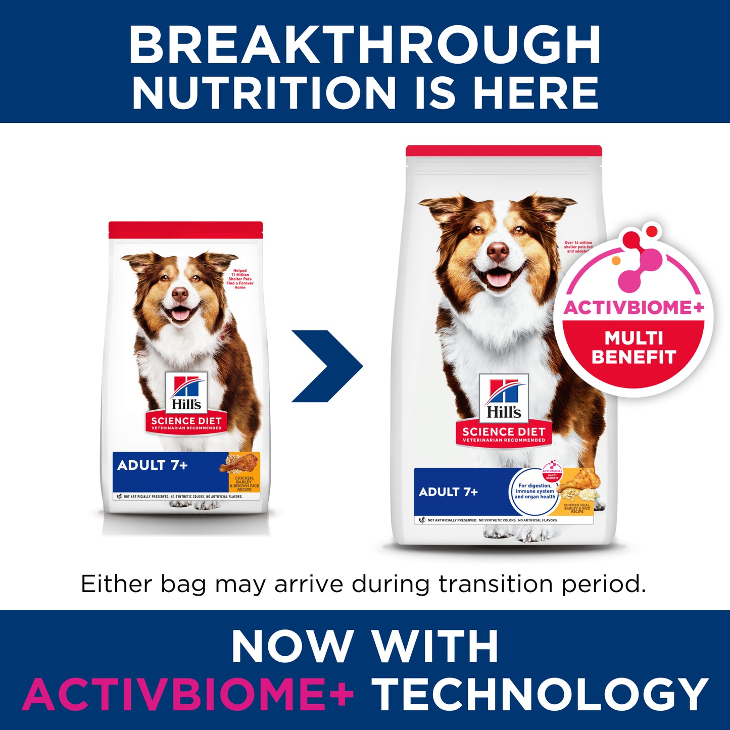 Science Diet Dog Adult 7+ 3kg