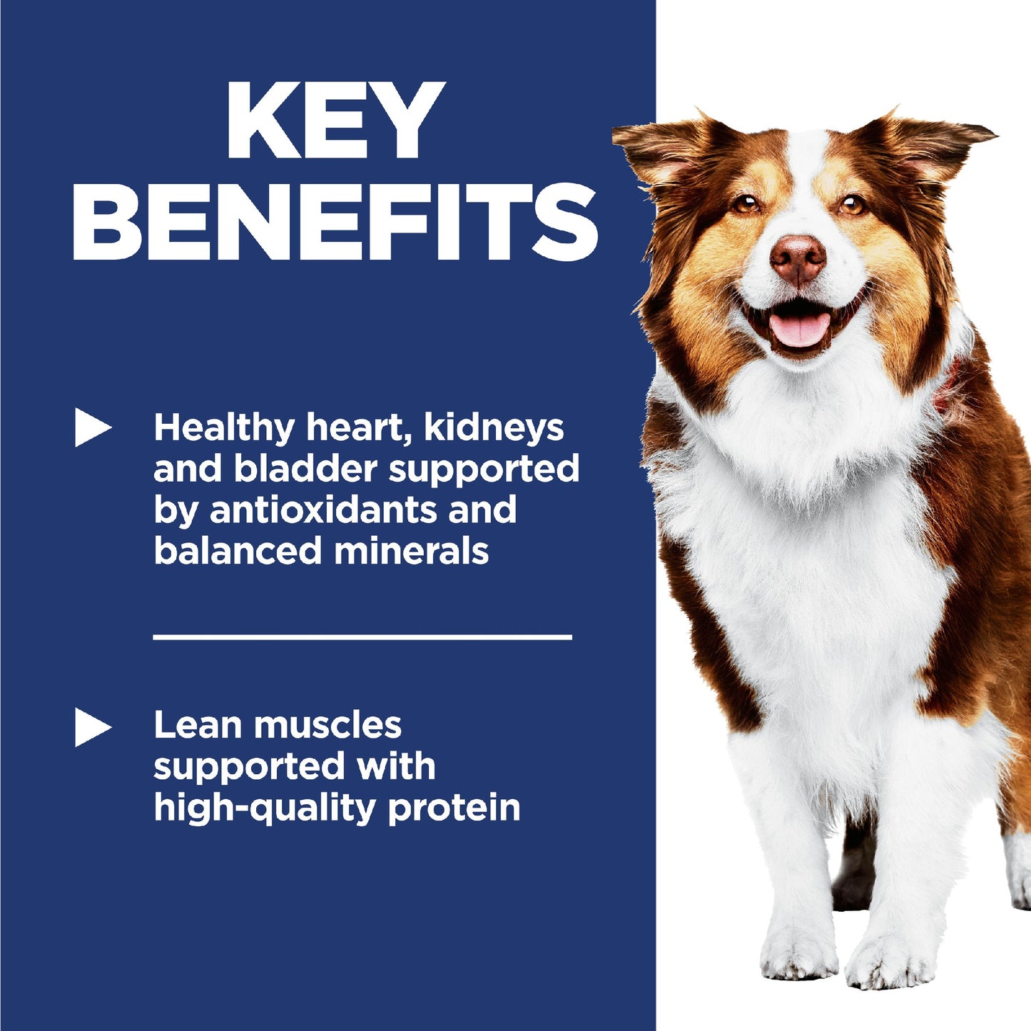 Science Diet Dog Adult 7+ 3kg