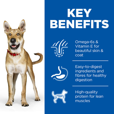 Science Diet Dog Adult Chicken 370g can