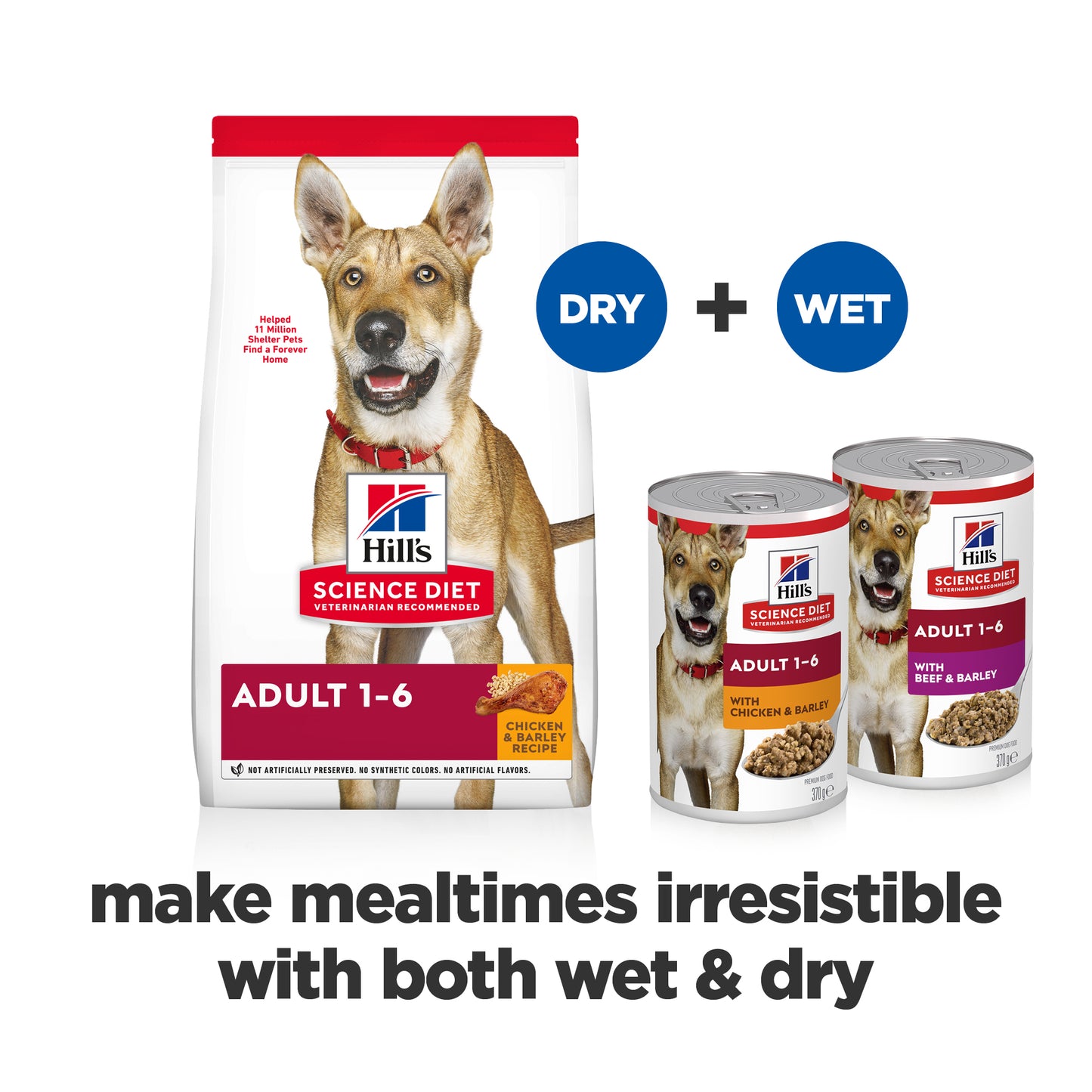 Science Diet Dog Adult Chicken 370g can