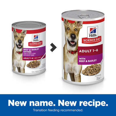 Science Diet Dog Adult Beef 370g can