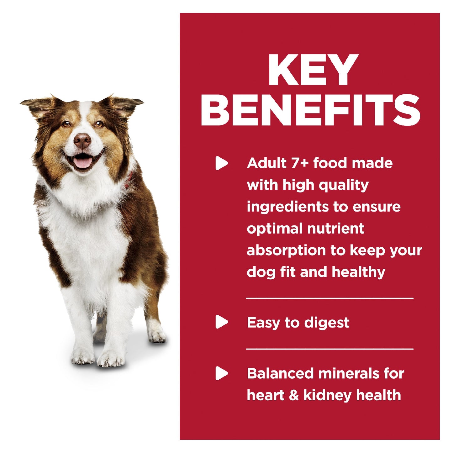 Science Diet Dog Mature chicken 370g can