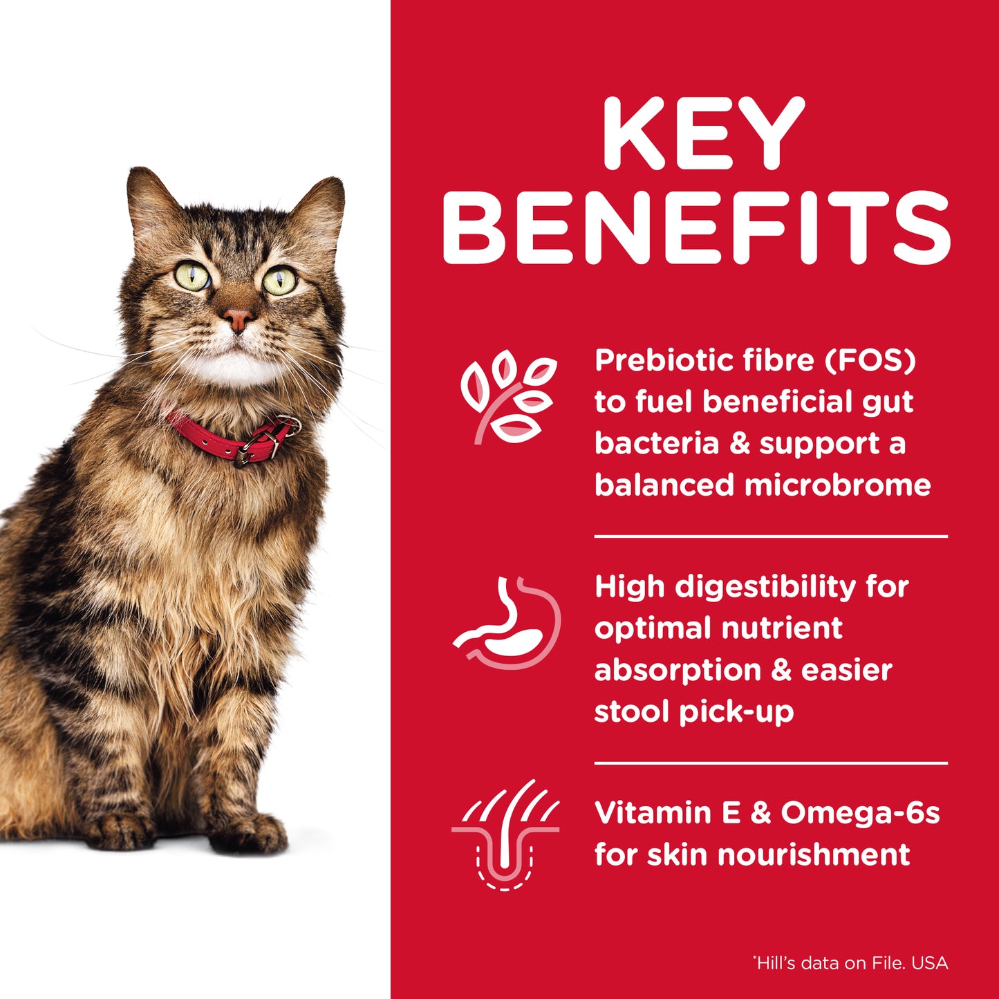Science Diet Cat Sensitive Skin & Stomach 1.58kg
