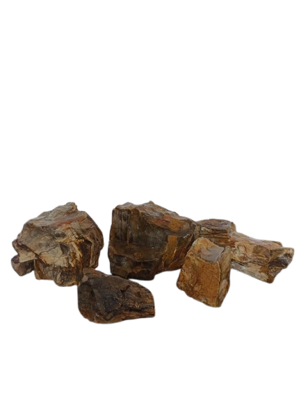 Petrified Wood Singles