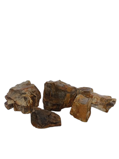 Petrified Wood Singles